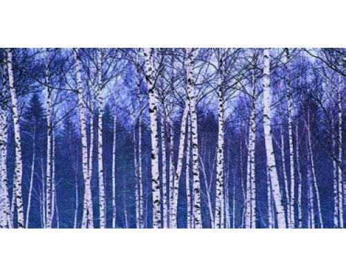 Desk Calendar DC 5